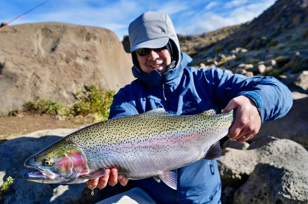A big Rainbow caught fly fishing the Barrancoso River, Argentina