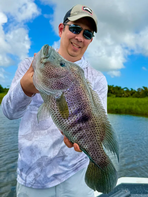 A big male Rainbow Bass