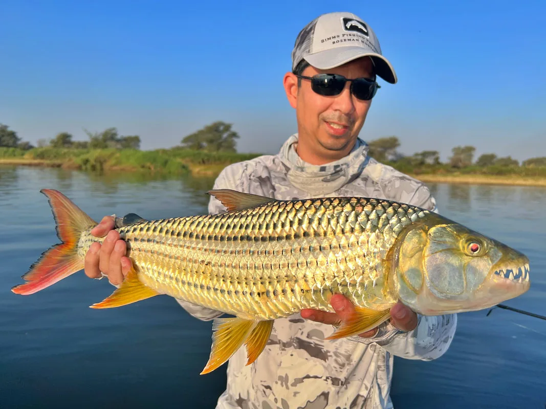 Not the biggest fish, but amazing colors in the sun