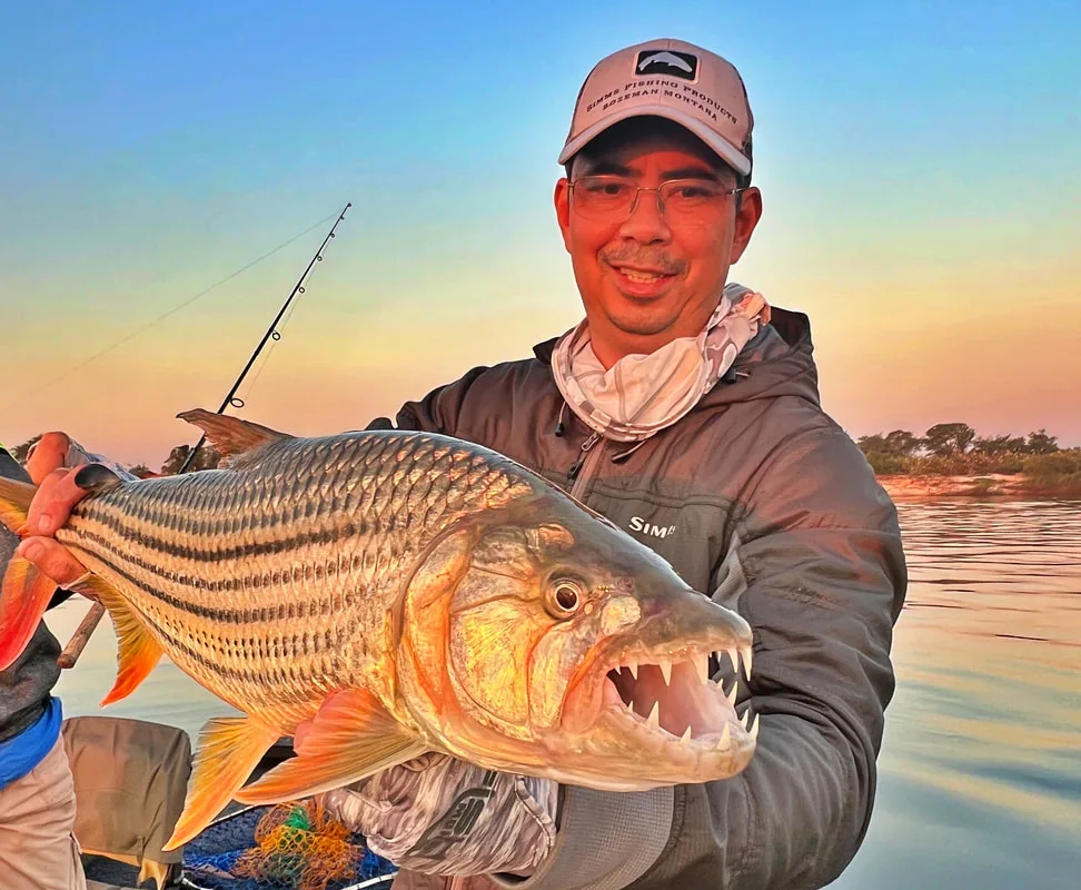 The business end of a Zambian Tigerfish