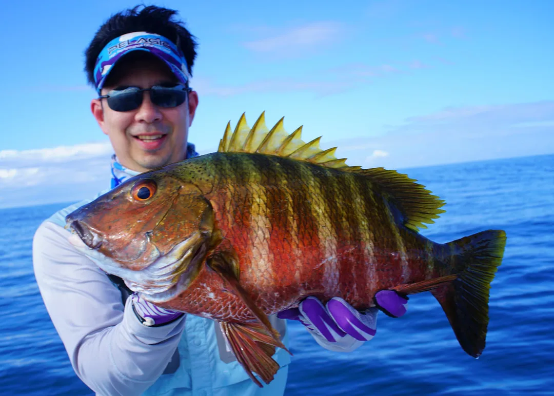 Barred Pargo caught on a Tady 45 surface iron jig in Drake Bay, Costa Rica
