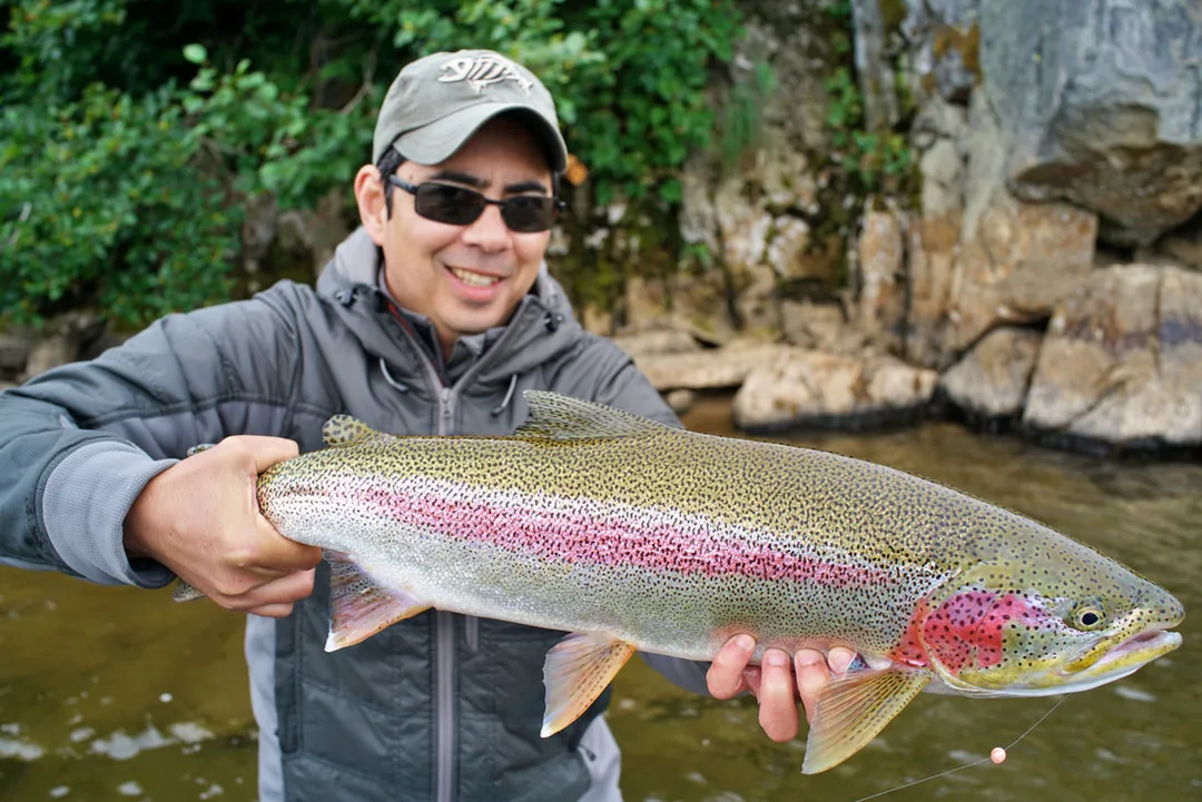 Rainbow Trout, Morraine Creek, Alaska