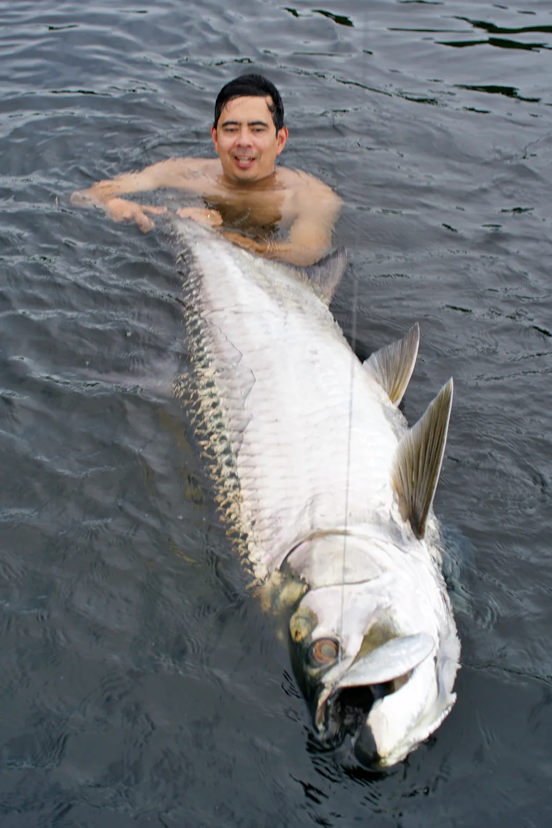 A big guy caught in Trinidad on a sardine