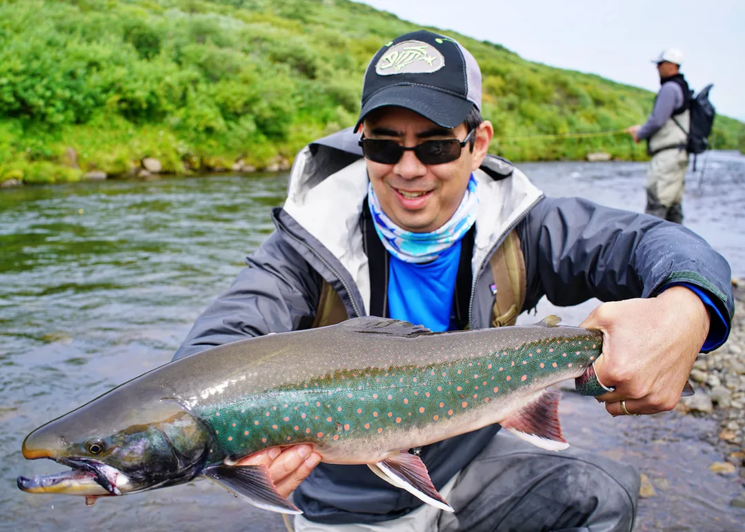 Dolly Varden, Gertrude Creek, Alaska
