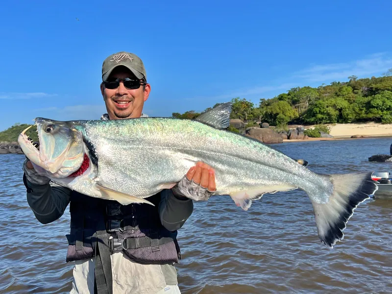 Payara caught in the Orinoco River