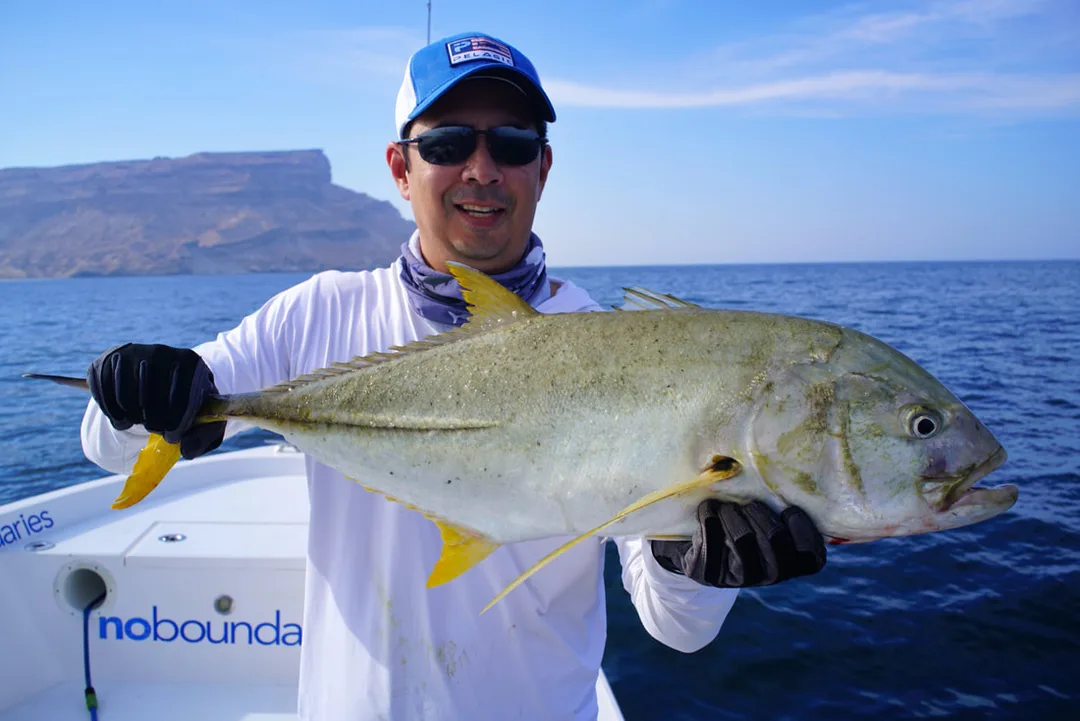 A nice Blacktip Trevally caught on a jig