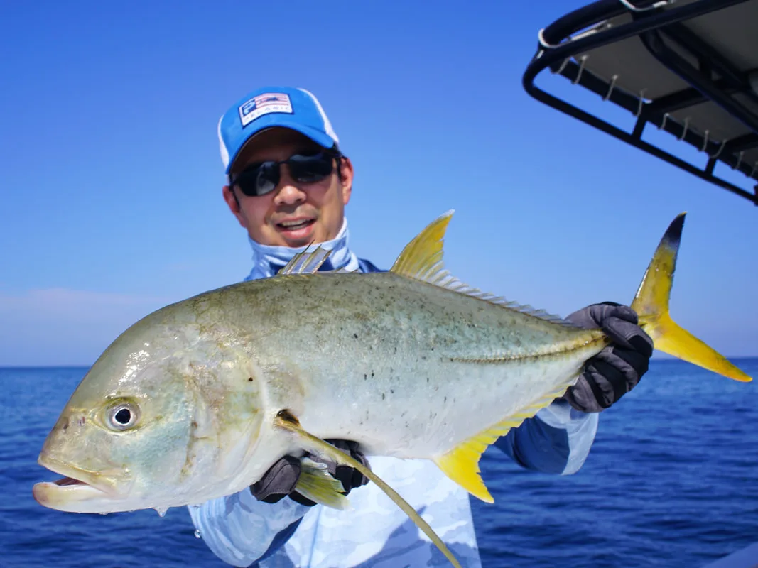 A beautiful Blacktip Trevally caught in Oman