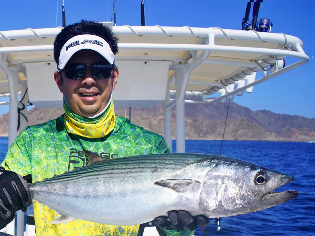 Bonito caught in Shuwaymyah, Oman on a surface iron lure