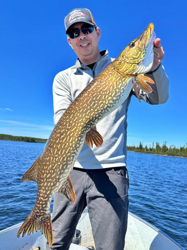 Northern Pike