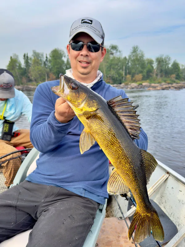 Walleye