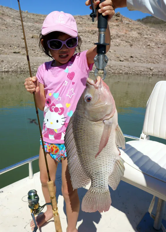 The author's daughter's big Tilapia caught in Lake Agua Milpa, Mexico on a small Fat Free Shad crankbait