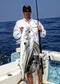 carousel chooser