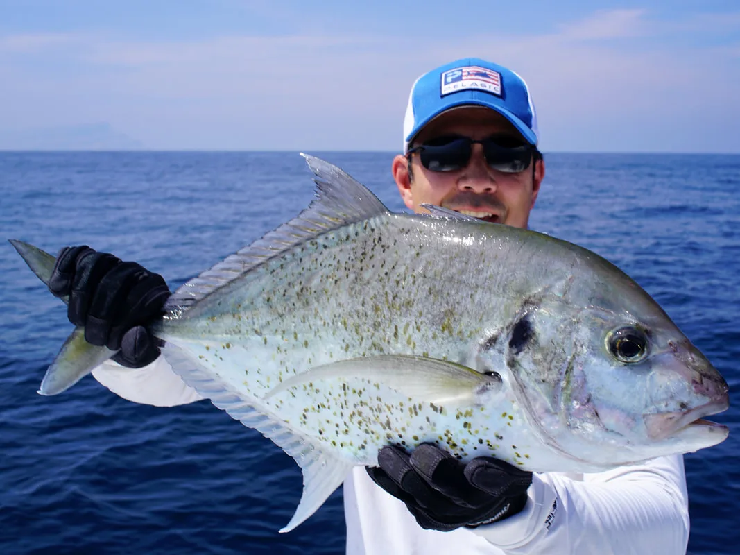 A Longnose Trevally caught in Oman while speed jigging in 120ft of water