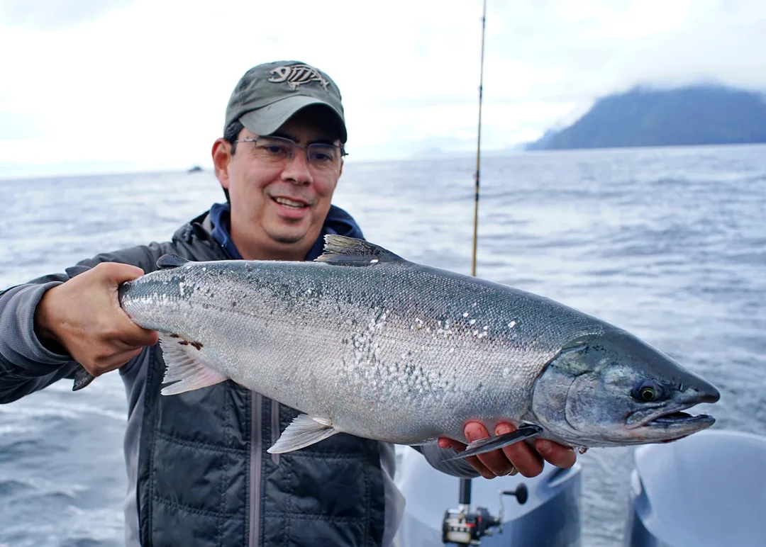 A nice Coho caught in the ocean near Baranof Island, Alaska