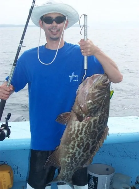 The Salas 7x jig strikes again for a nice Broomtail Grouper
