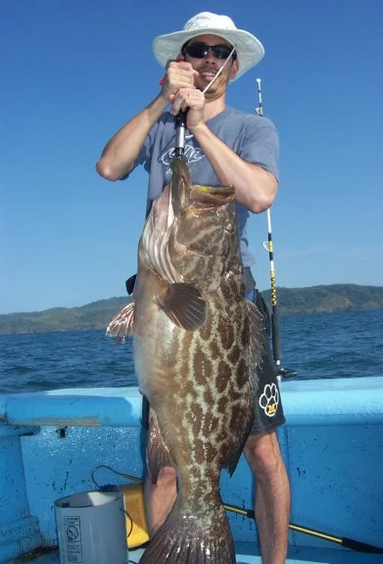 The author's large Broomtail caught on a Salas 7x jig in Panama