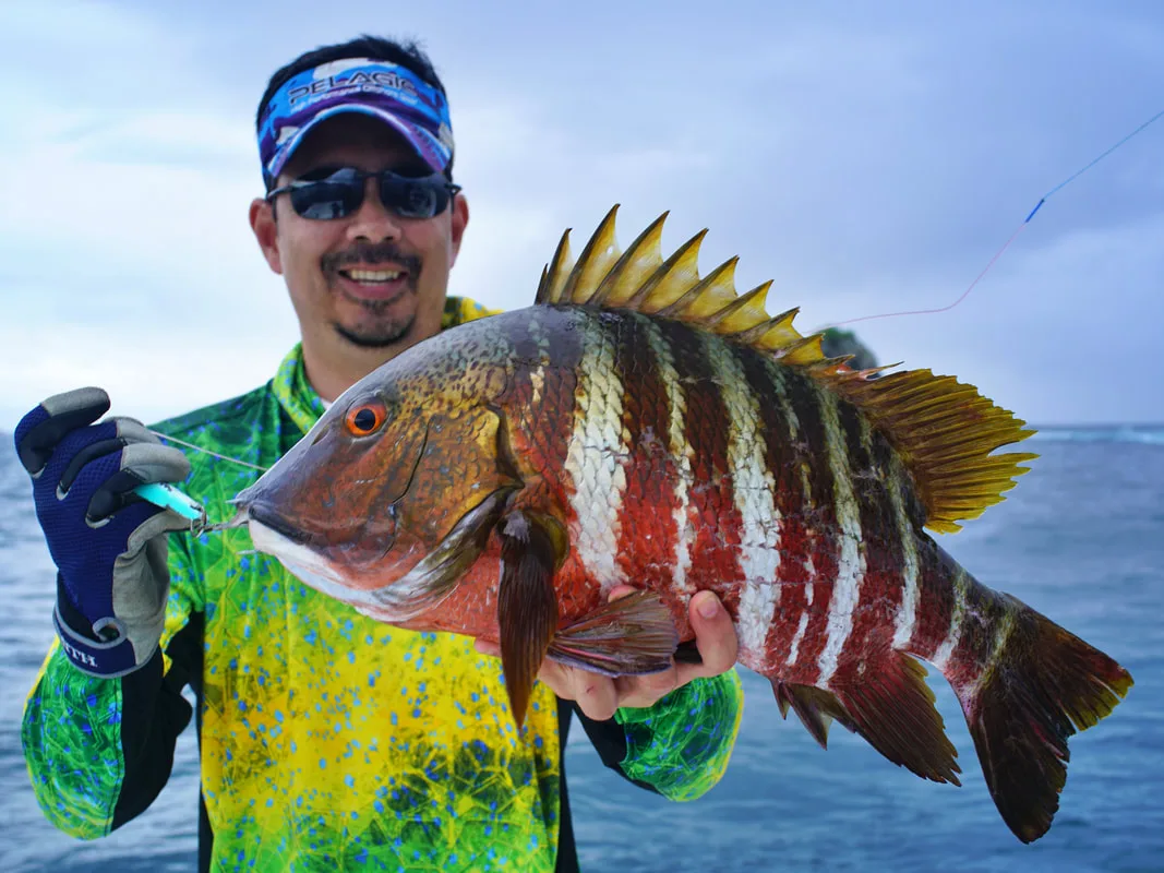 Beautiful typical Barred Pargo caught near Bahia Solano, Colombia on a Tady surface iron