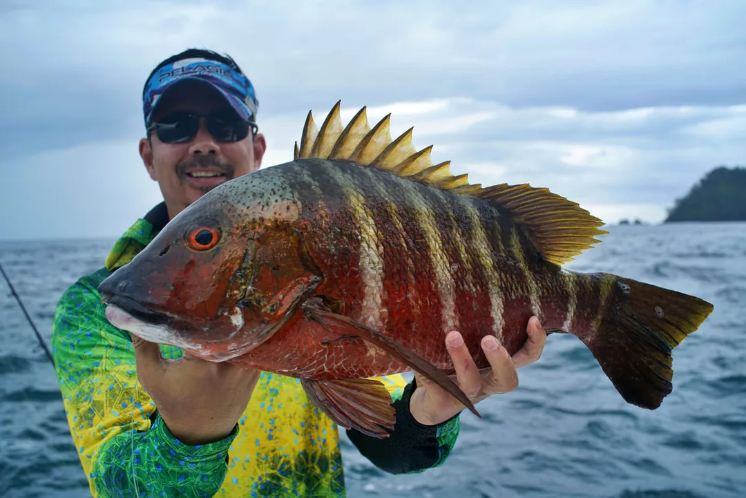A nice specimen caught on a live bait in Bahia Solano, Colombia
