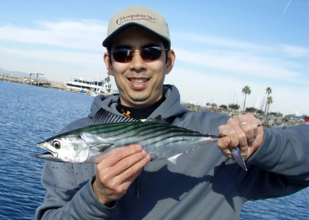 A pretty Pacific Bonito caught inside Redondo Harbor in California.  Smaller ones like this can be targeted from shore.