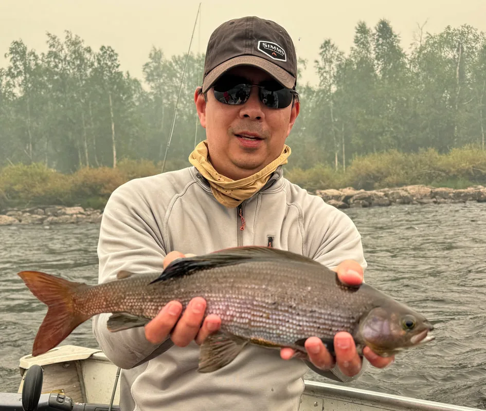 A nice sized grayling caught fly fishing in northern Manitoba, Canada
