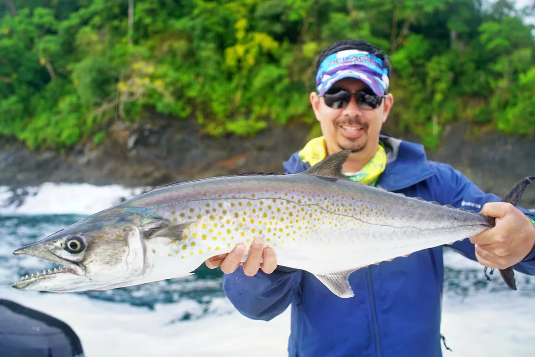 A nice Sierra from Bahia Solano, Colombia