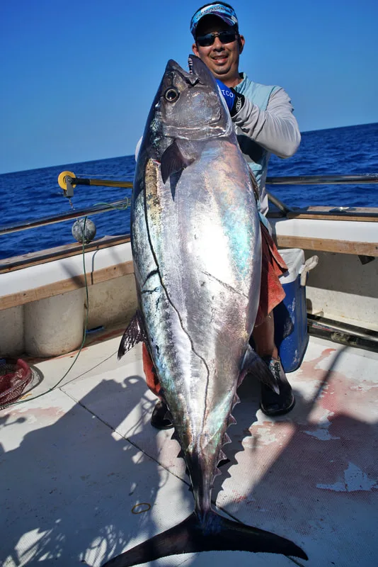 A massive Dogtooth Tuna caught off Latham Island, Tanzania