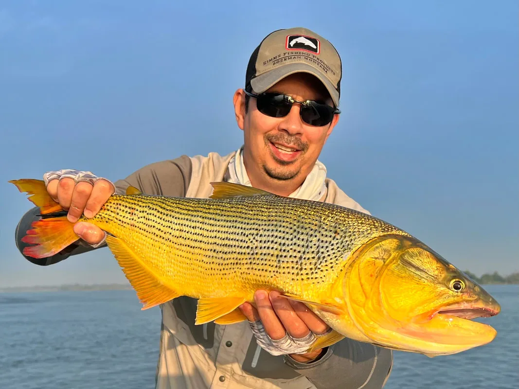 Sunset Golden Dorado