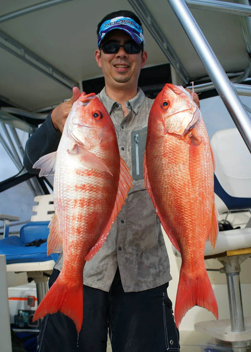 A closely related species, the Pacific Red Snapper (Lutjanus peru), caught in Panama on jigs