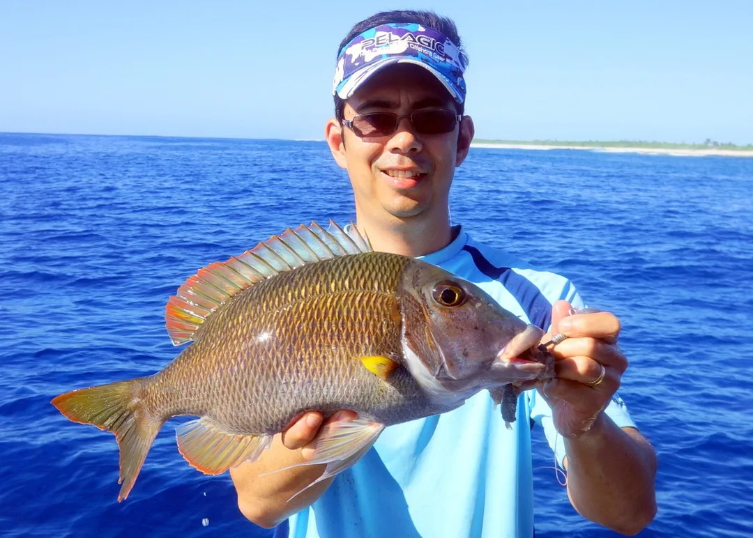 The author with a beautiful Emperor caught while bottomfishing with bait in Aitutaki, Cook Islands.