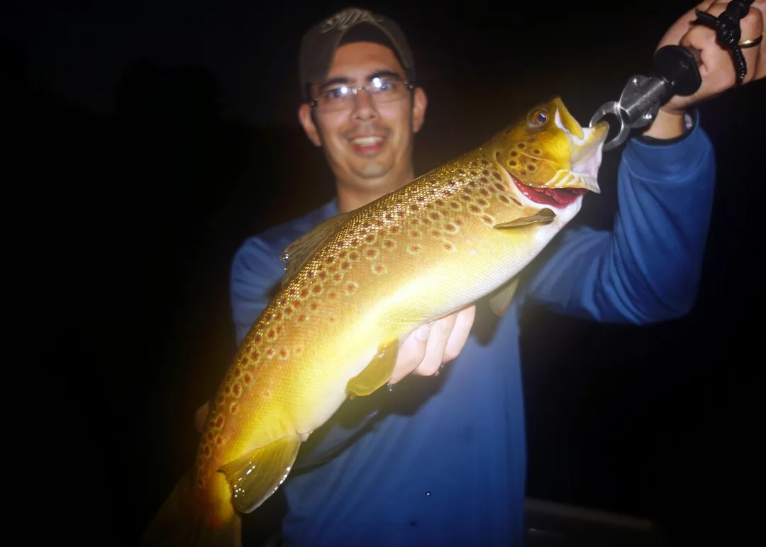 Browns will bite in the dark