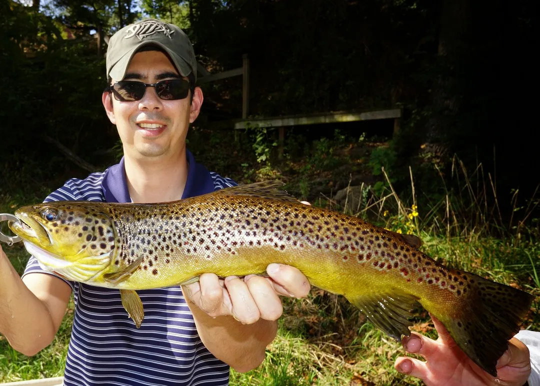 One of the last fish of the trip, a Brown caught on a marabou jig