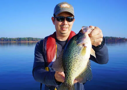 A big fat Lake O the Pines Black Crappie
