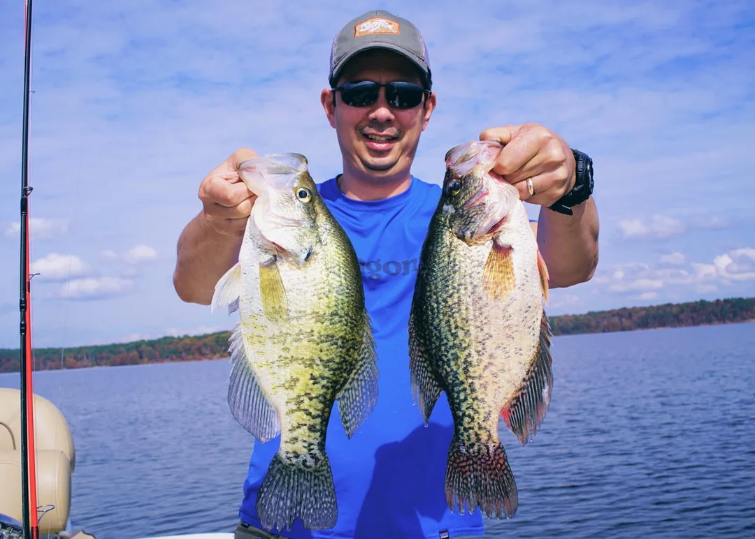 White Crappie on the left, Black Crappie on the right.