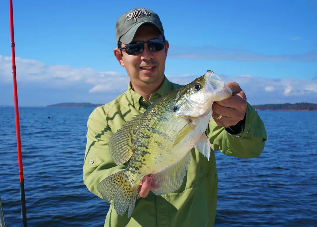 A big White Crappie caught late on Day 2