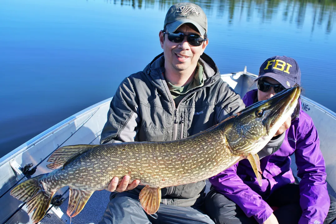 A hefty Canadian Pike caught on a spoon