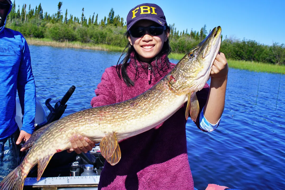 The author's daughter with a beauty caught in  God's Lake, Canada