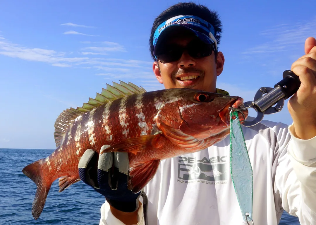 Juvenile Cubera Snapper caught in Panama