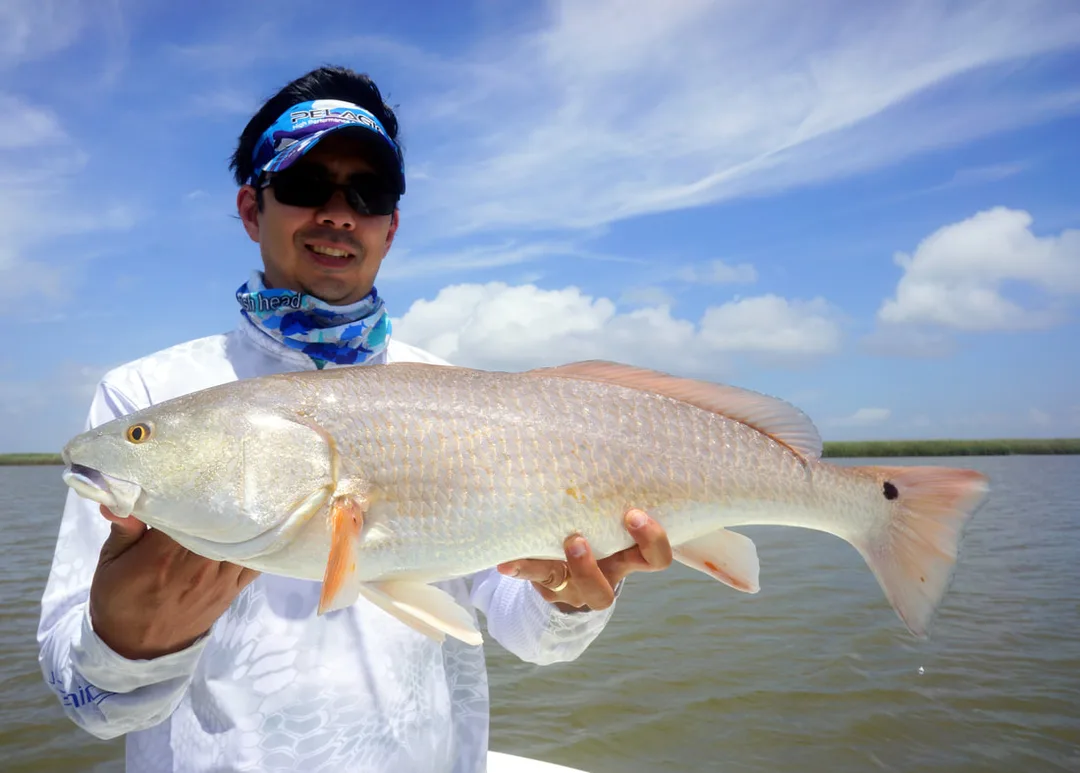 A big Redfish caught in Venice, Louisiana