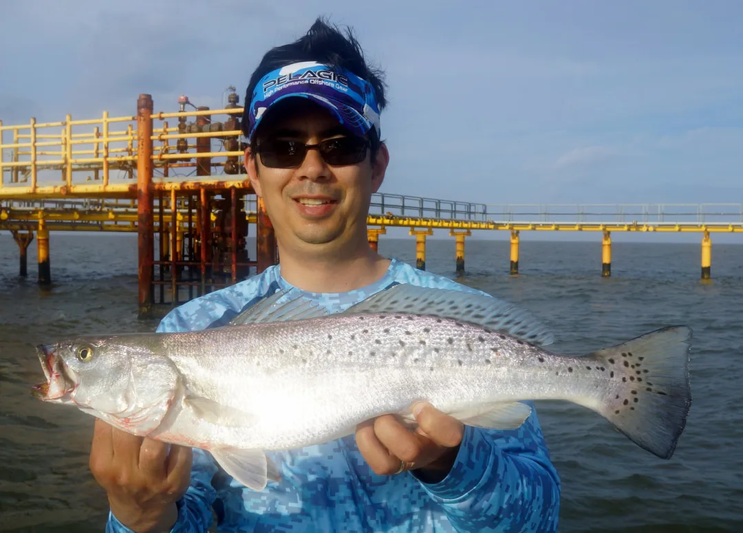 A nice healthy Speckled Trout caught off an oil platform
