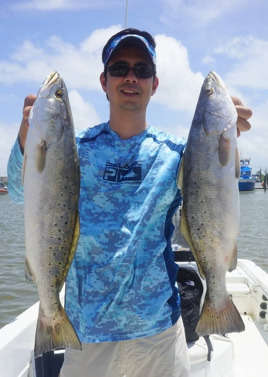 Some healthy Speckled Trout caught in Venice, Louisiana 