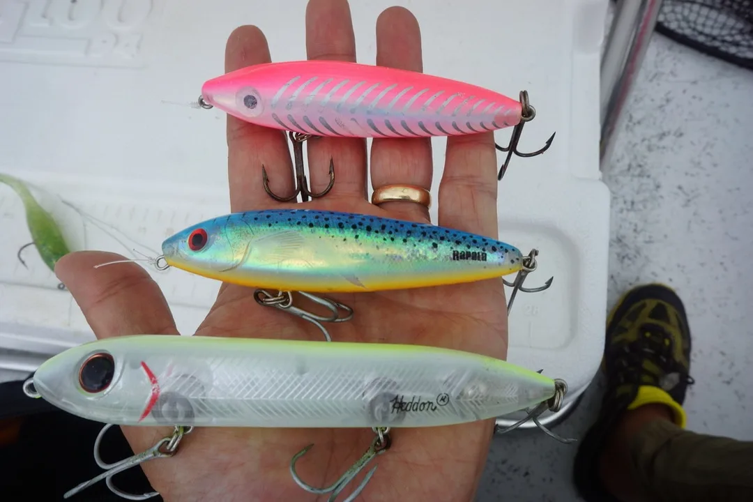 Some good topwaters for Speckled Trout
