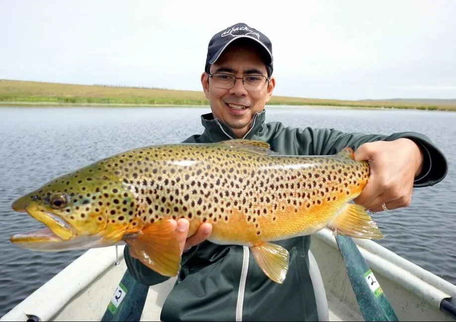 The author's hefty Brown Trout caught on a fly in Montana