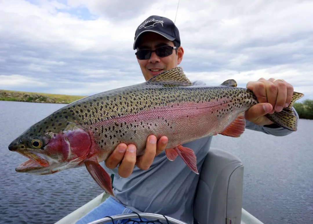 Another beautiful Montana Rainbow caught on a nymph