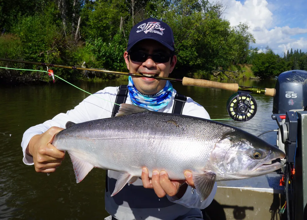Chrome Silver Salmon caught on fly gear