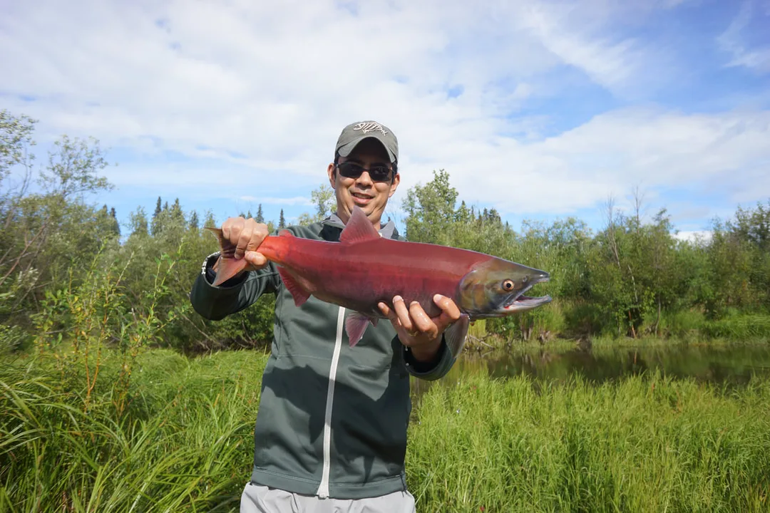 A female Sockeye.  It was rare to hook these.