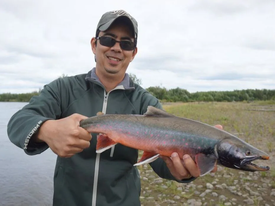 A nice looking Dolly caught on the Aniak River, Alaska