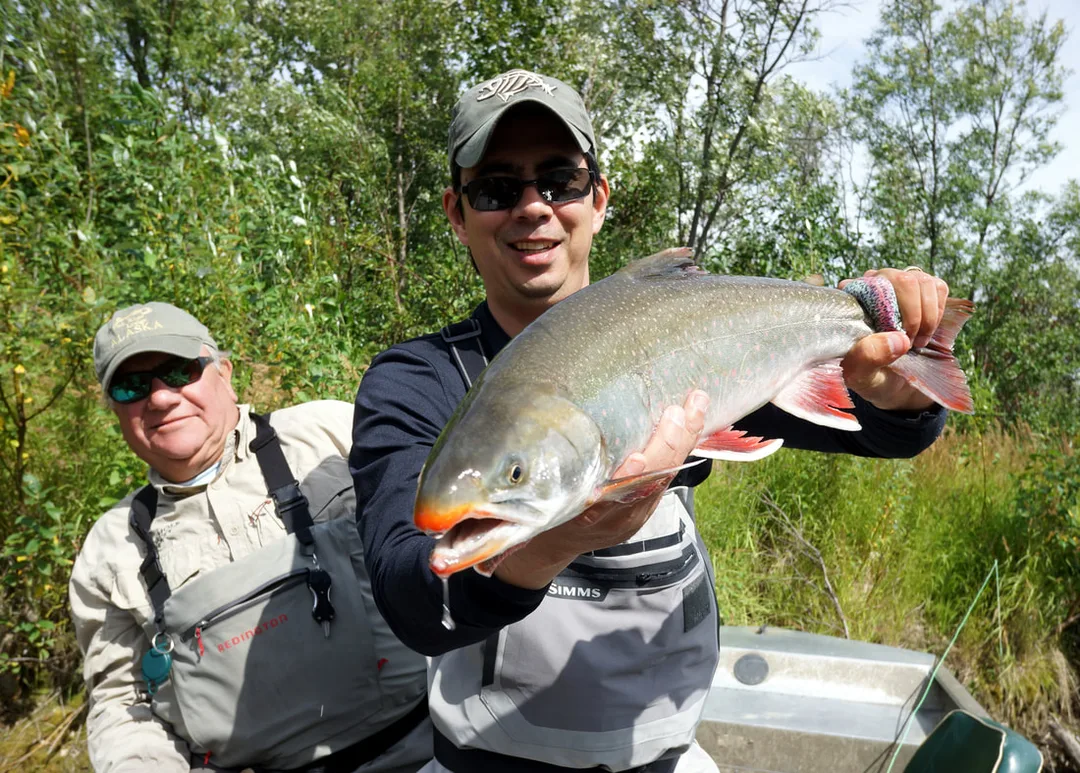 A good-sized Dolly Varden just starting to get the spawning coloration