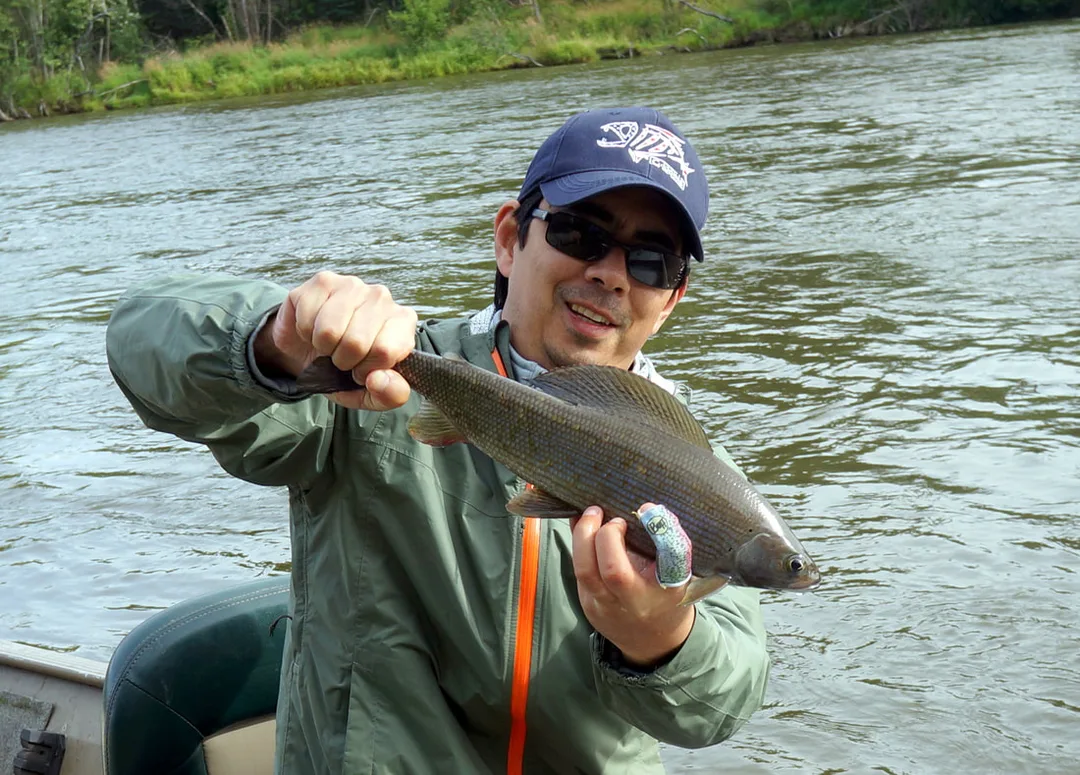 The author's Grayling caught on a fly on the Aniak River, Alaska