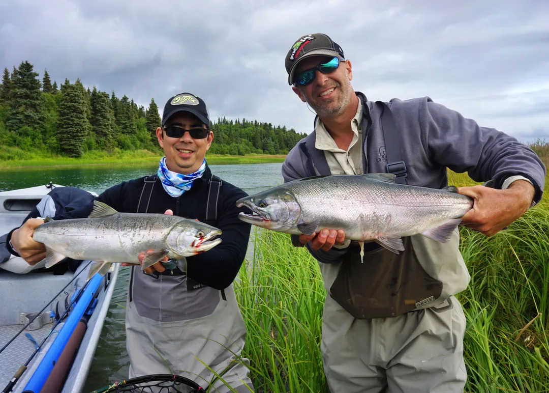 A Coho double in the Kvichak River, Alaska