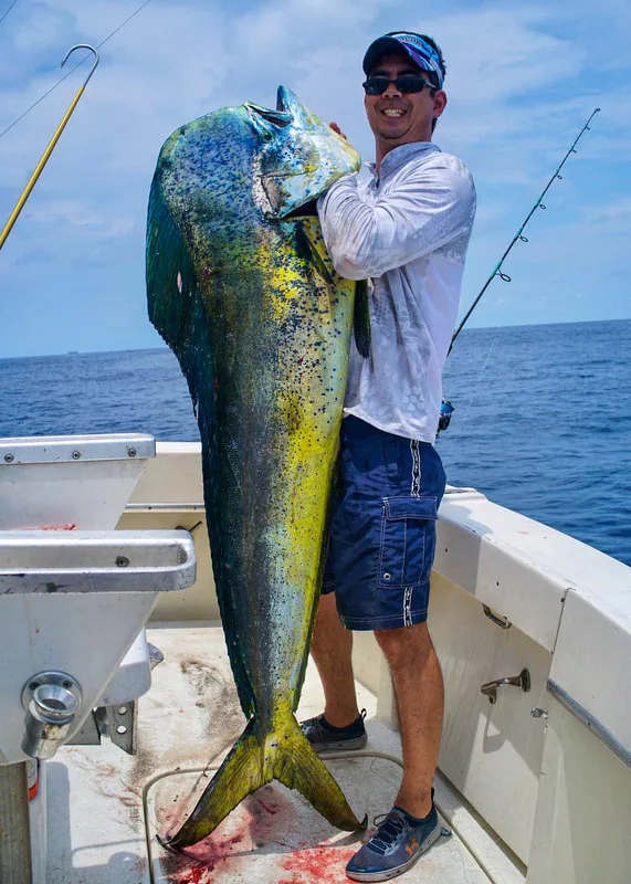 The author's world-record class Dorado